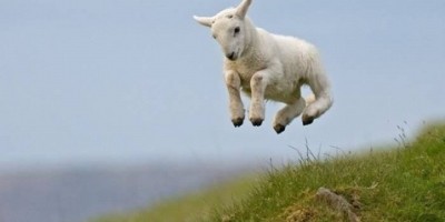 雪,下了 雪,下了