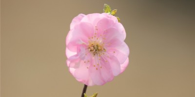 Discuz! X3.2通用 Apache伪静态规则 Discuz! X3.2通用 Apache伪静态规则