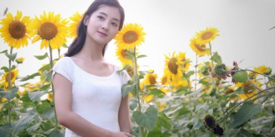 缘聚缘散 缘聚缘散