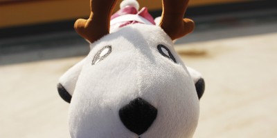 近期失败的思考 近期失败的思考