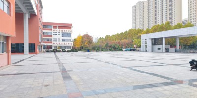 这个周末没闲着 这个周末没闲着