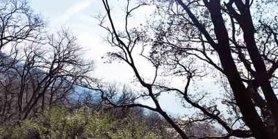 再游花果山 再游花果山